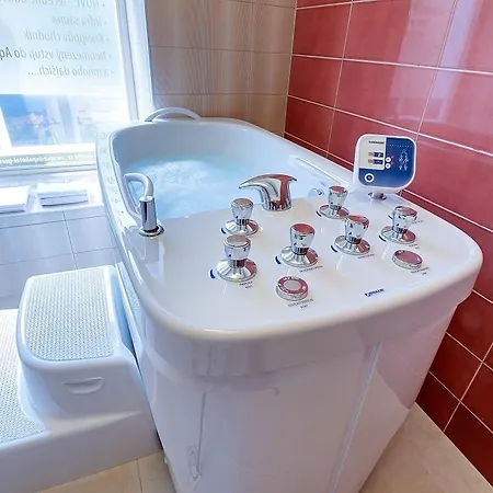 Goethe Františkovy Lázně